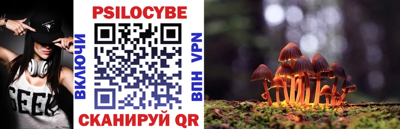 darknet Telegram  цена   Котельниково  Псилоцибиновые грибы Magic Shrooms 